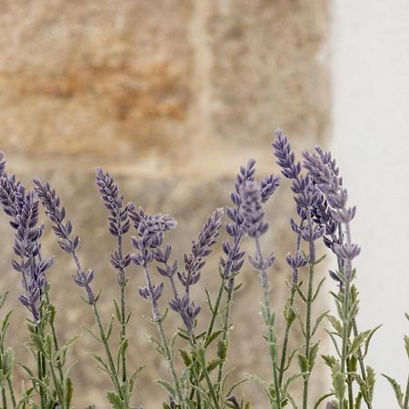 Aparrtment Terra- Combine Beach&Old Town Apartment Split Exterior foto