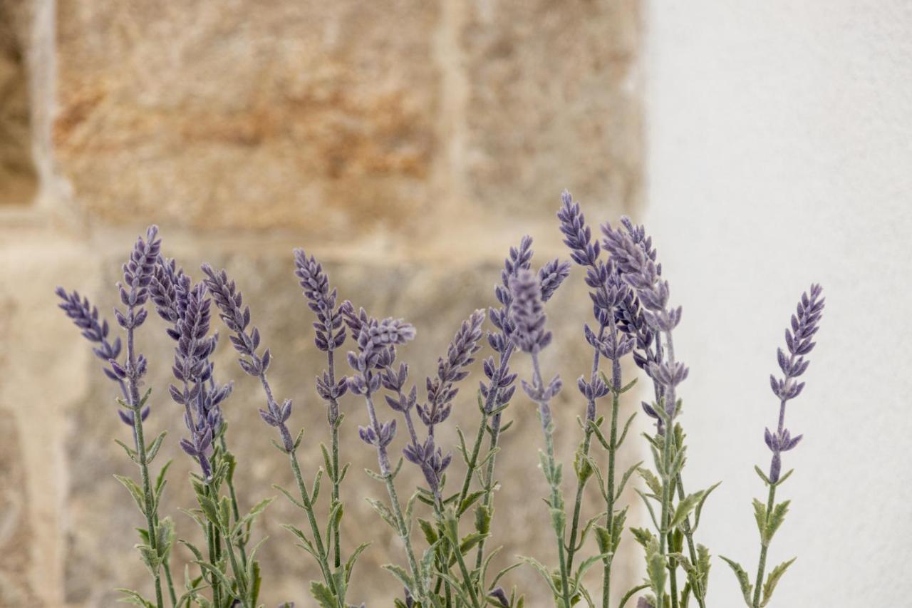 Aparrtment Terra- Combine Beach&Old Town Apartment Split Exterior foto